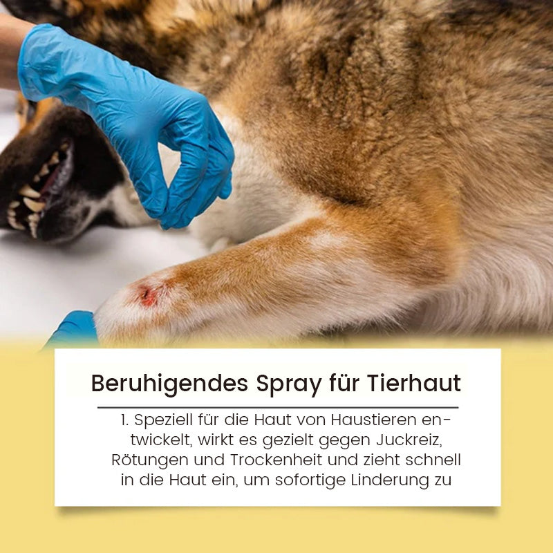 Haustier-Hautpflegespray für Pilz- und Bakterieninfektionen