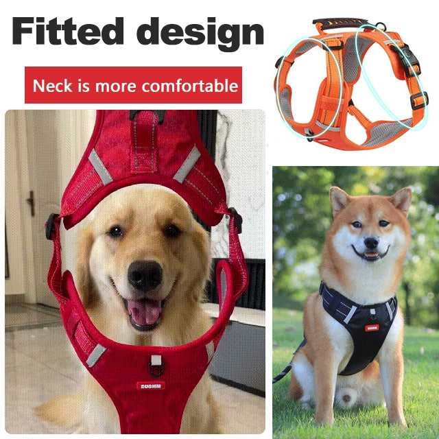 Kein Pull -Hundekabel für Haustiere