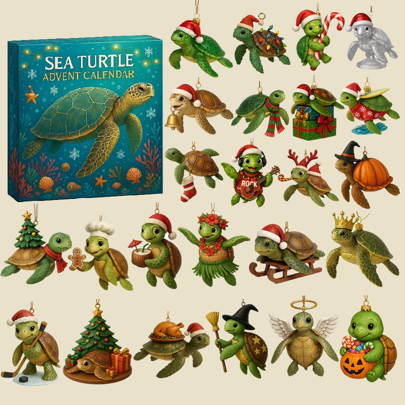 🌊🐢 Meeresschildkröten-Adventskalender 2025