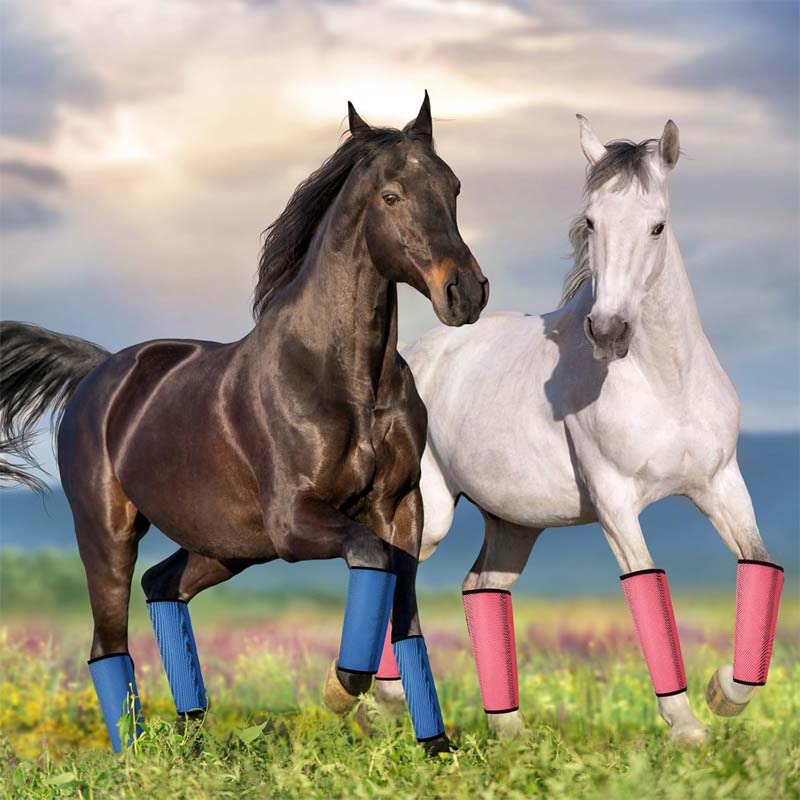 Atmungsaktive Mesh-Leggings zum Fliegenschutz für Pferde 🐎✨