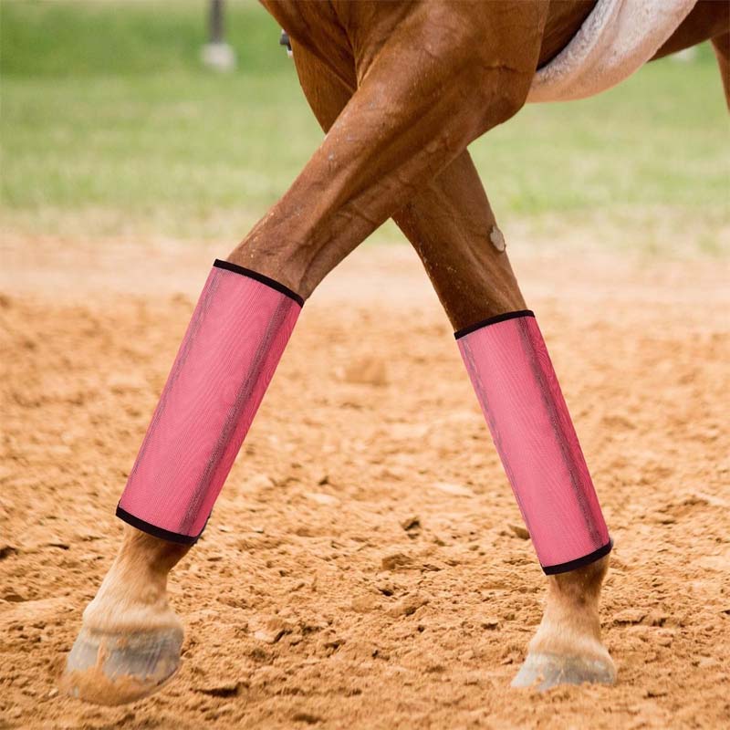 Atmungsaktive Mesh-Leggings zum Fliegenschutz für Pferde 🐎✨