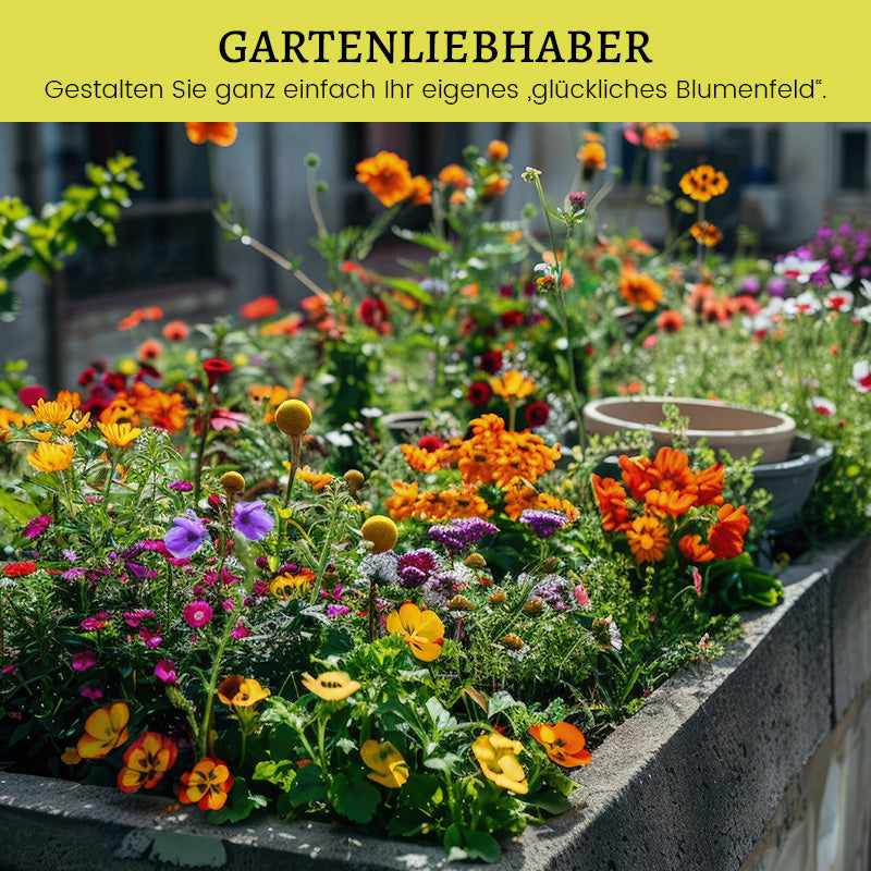 Blumensamen-Kombination