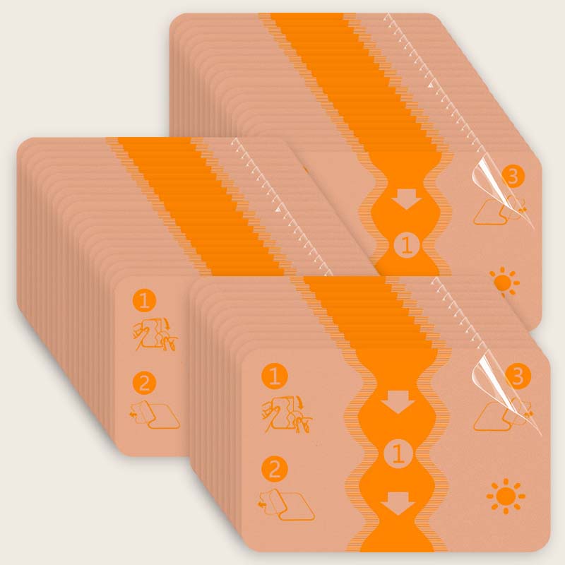 🔥2025 Neuankömmling 🔥Gips-Beifußpflaster