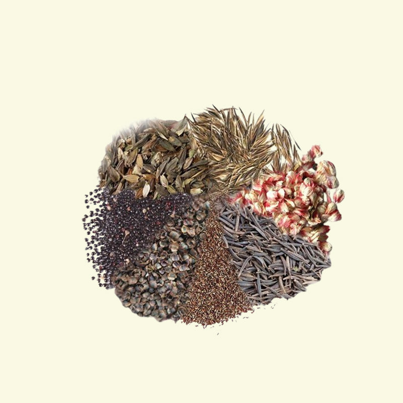 Blumensamen-Kombination