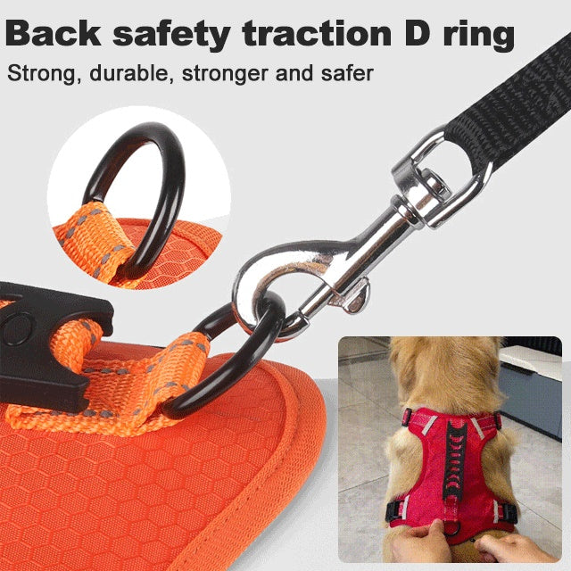 Kein Pull -Hundekabel für Haustiere