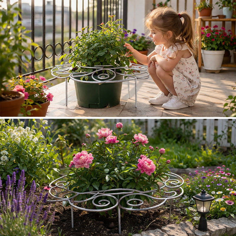 Pflanzenstütze für Blumen und Stauden – Dezente Gartenhilfe für aufrechte Blüten