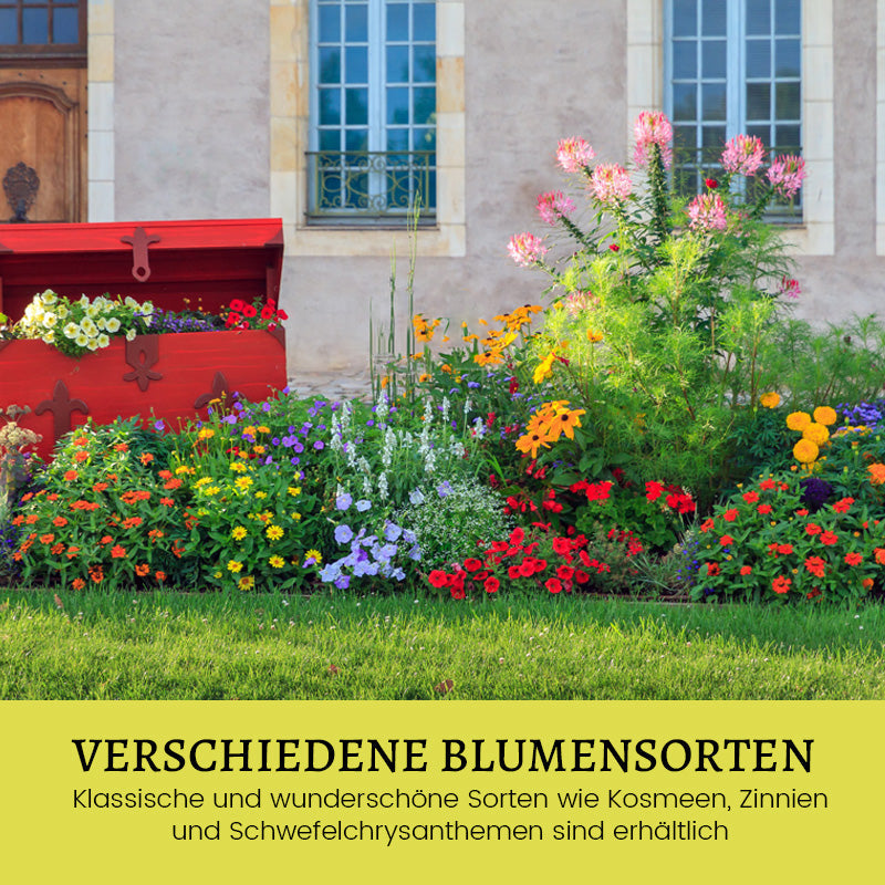 Blumensamen-Kombination