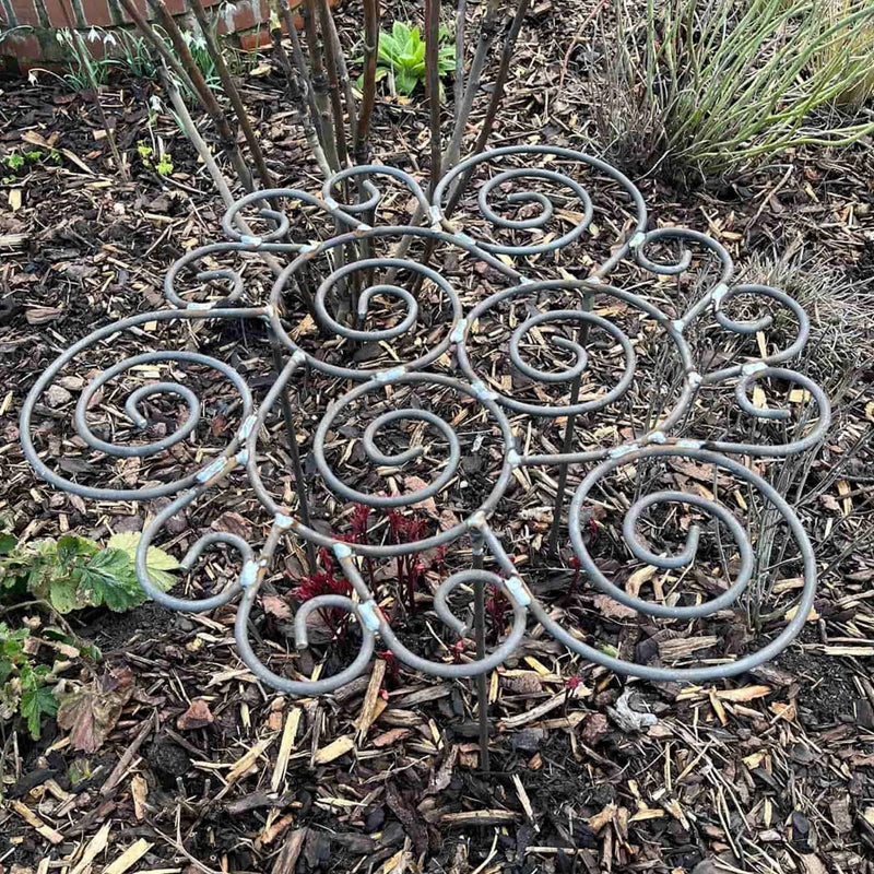 Pflanzenstütze für Blumen und Stauden – Dezente Gartenhilfe für aufrechte Blüten