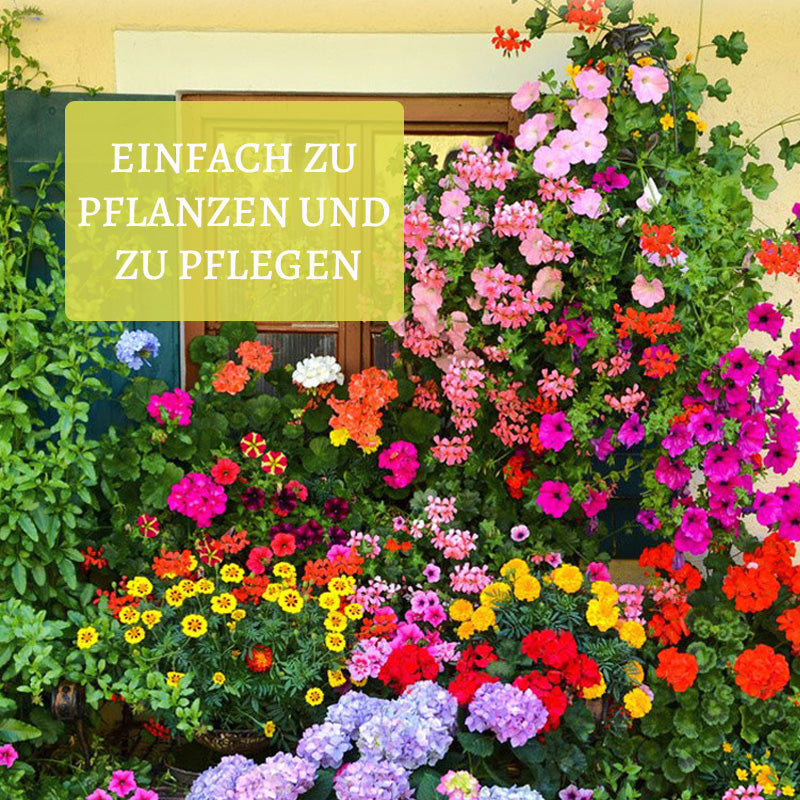 Blumensamen-Kombination