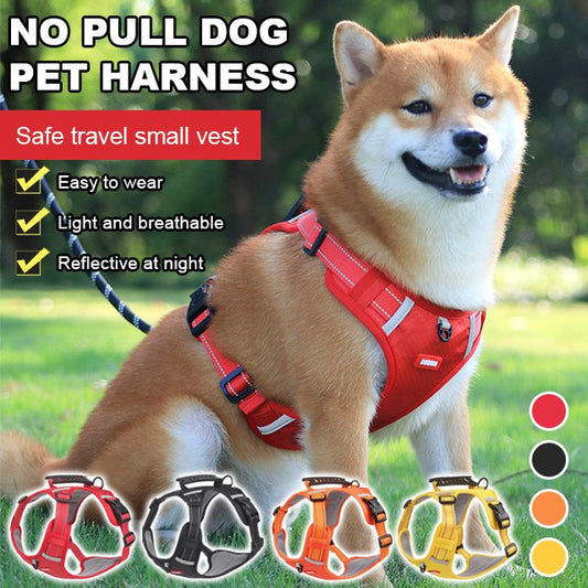 Kein Pull -Hundekabel für Haustiere