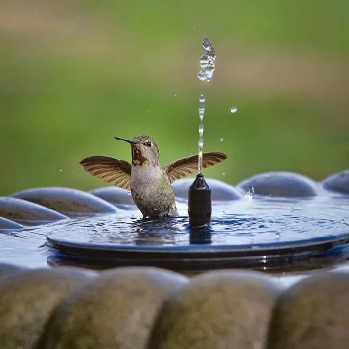 ⏳Zeitlich begrenztes Angebot⏰ Kompakte Solar-Vogelbrunnenpumpe – Erwecken Sie Ihren Garten zum Leben! 🐦️