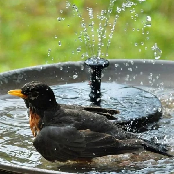 ⏳Zeitlich begrenztes Angebot⏰ Kompakte Solar-Vogelbrunnenpumpe – Erwecken Sie Ihren Garten zum Leben! 🐦️
